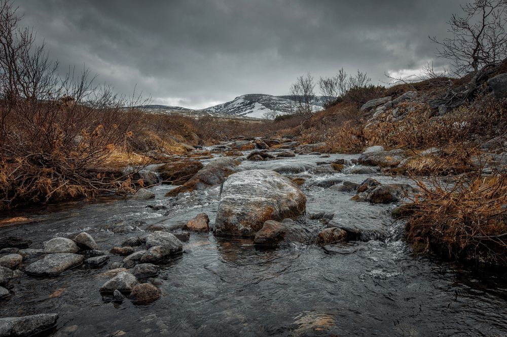 Фотография автора Онучина Юлия