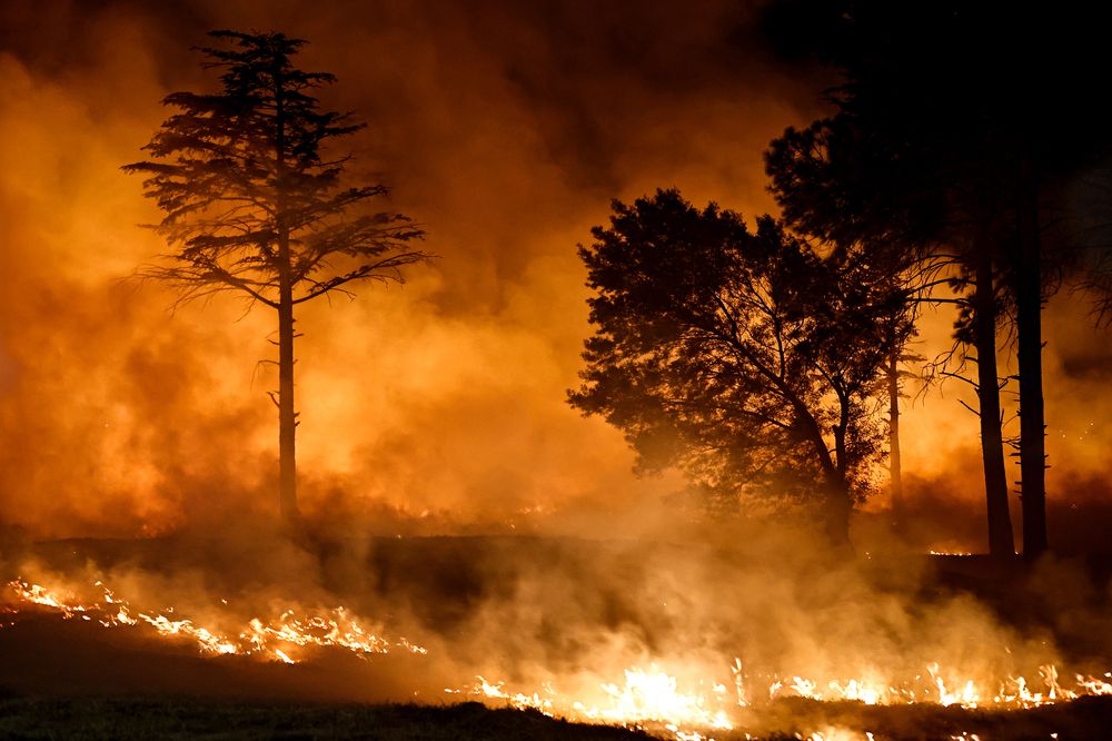 Photograph by Gabriel Sithole