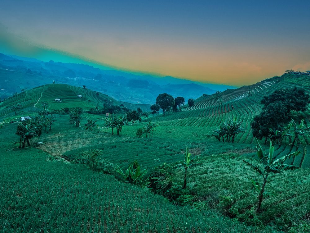Photograph by Dzulfikri Dzulfikri