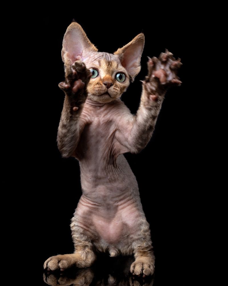 Photograph by Светлана Медведева