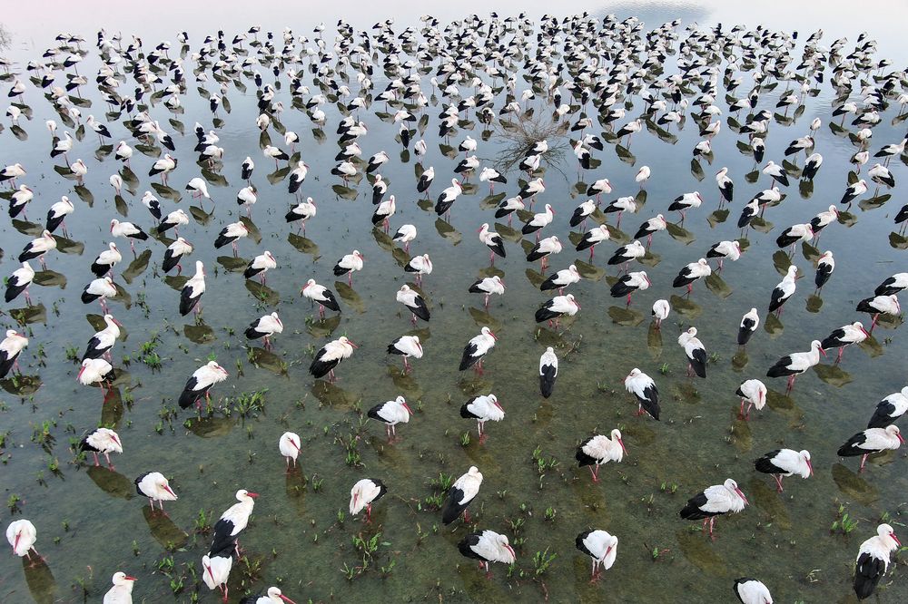 Photograph by Yair Palti