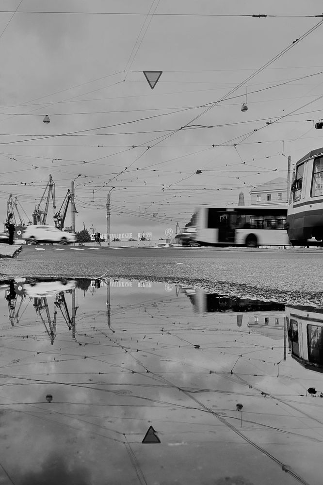 Photograph by Natalya Alekseenko