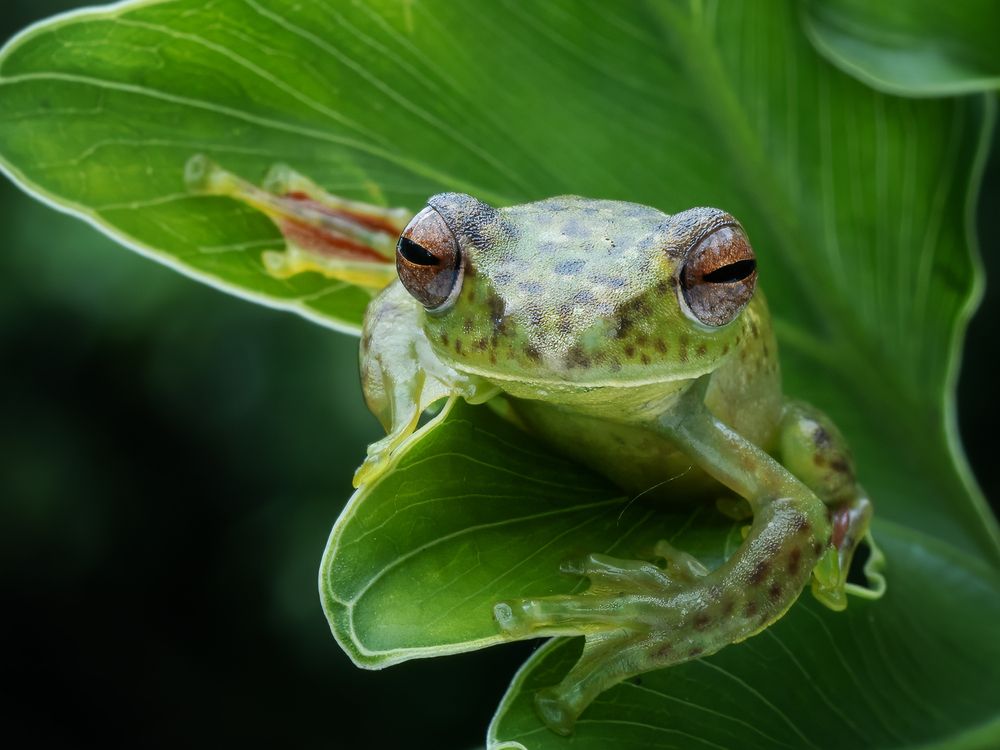 Photograph by Dzulfikri Dzulfikri