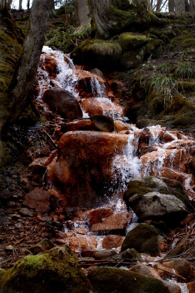 Photograph by Viktors Giršsons