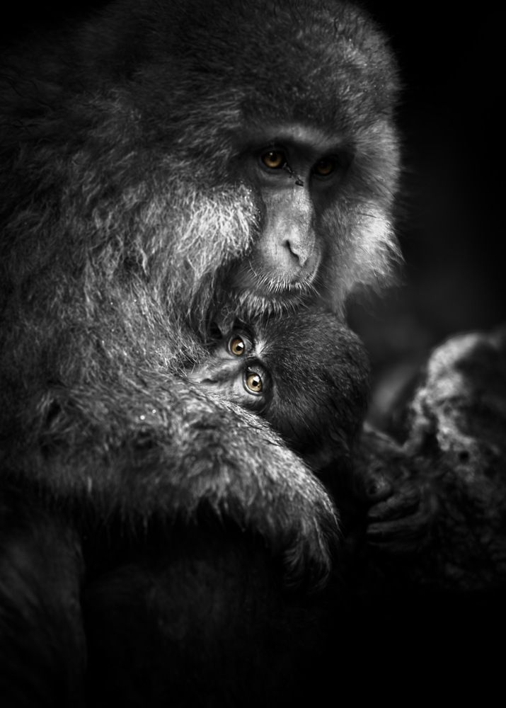 Photograph by AKAO TAITO