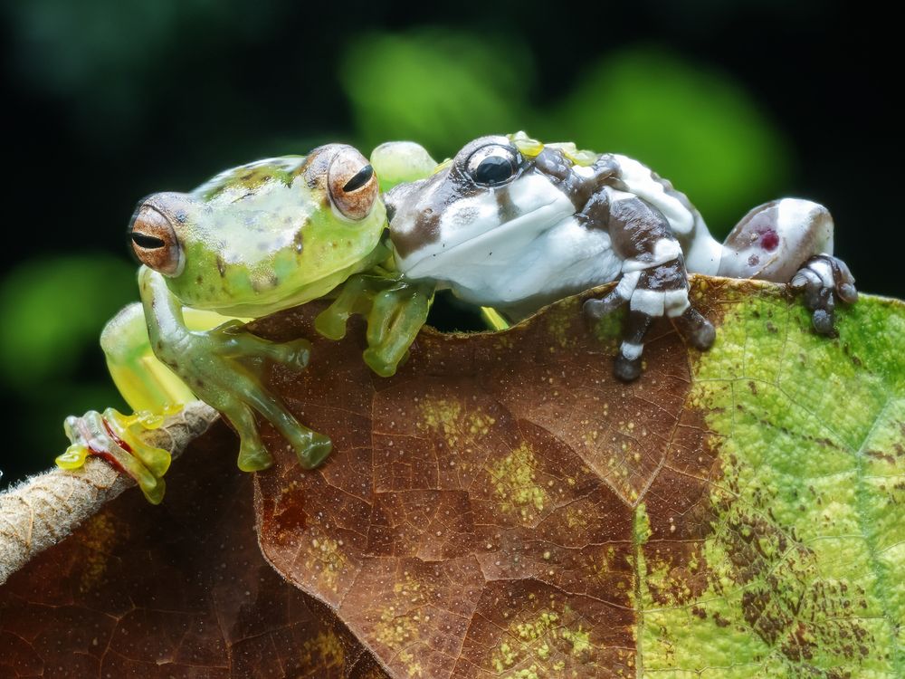 Photograph by Dzulfikri Dzulfikri