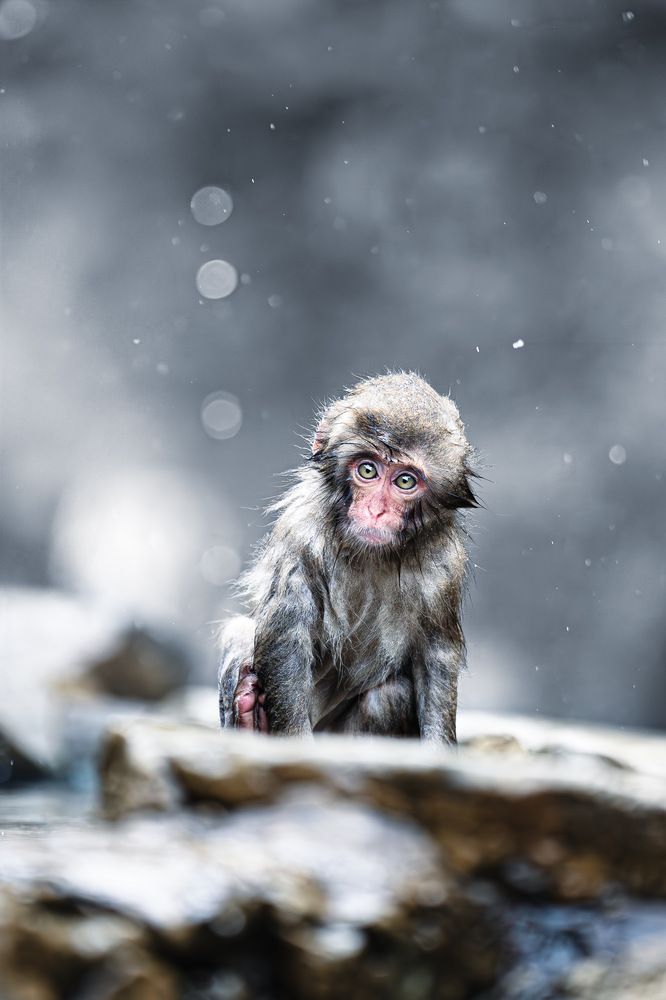 Photograph by AKAO TAITO