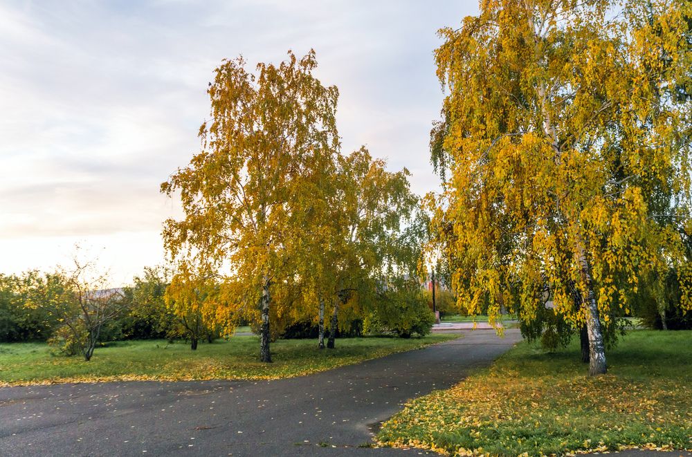 Photograph by Александр Пургин