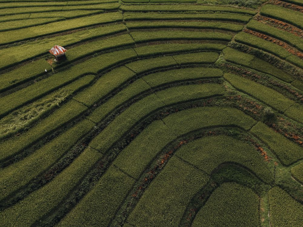 Photograph by amirhossein sobati