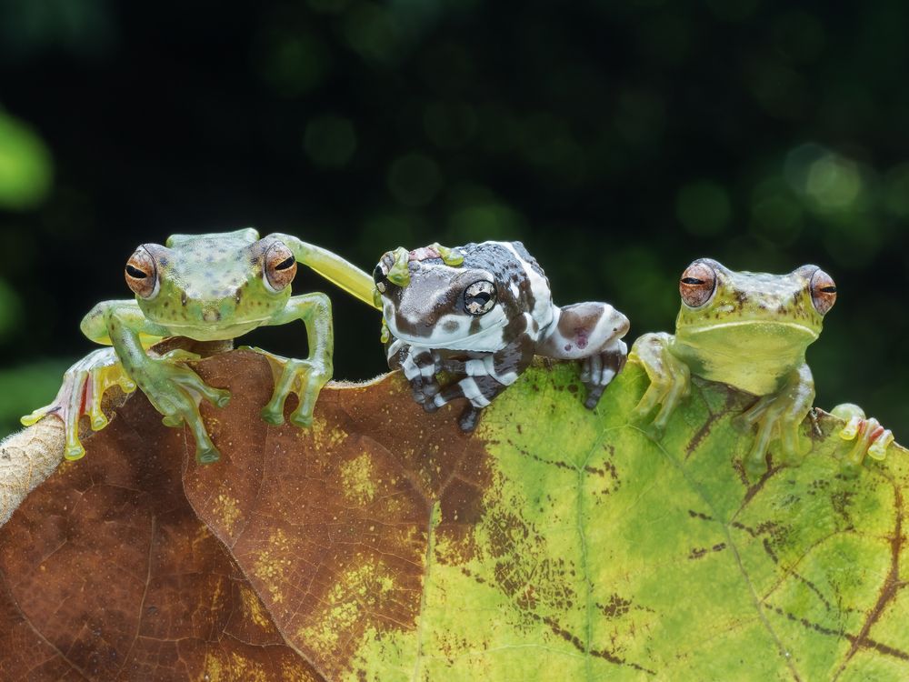 Photograph by Dzulfikri Dzulfikri