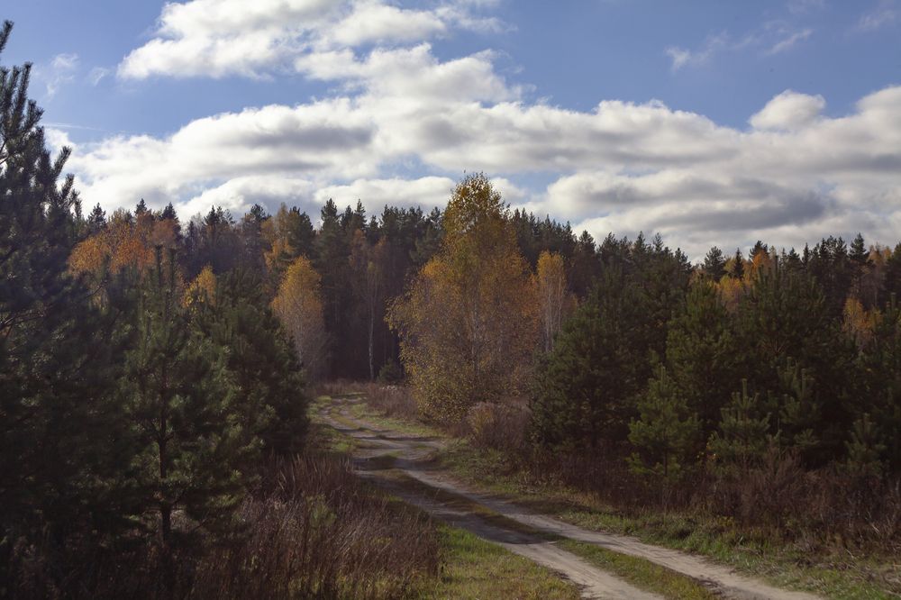 Фотография автора Вадим Лабитов