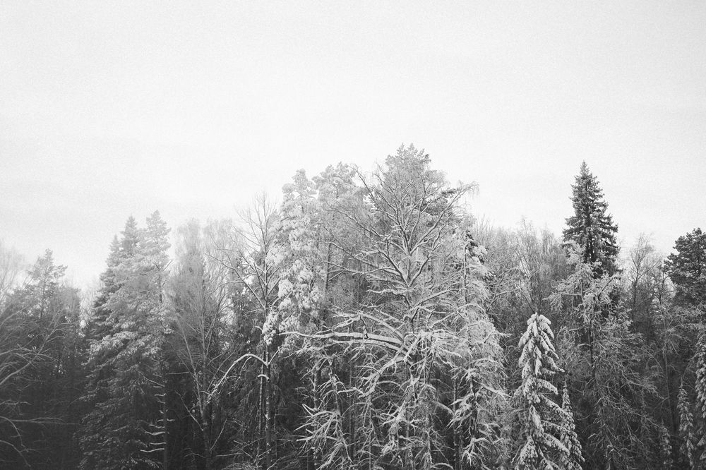 Фотография автора Анастасия Корчагина