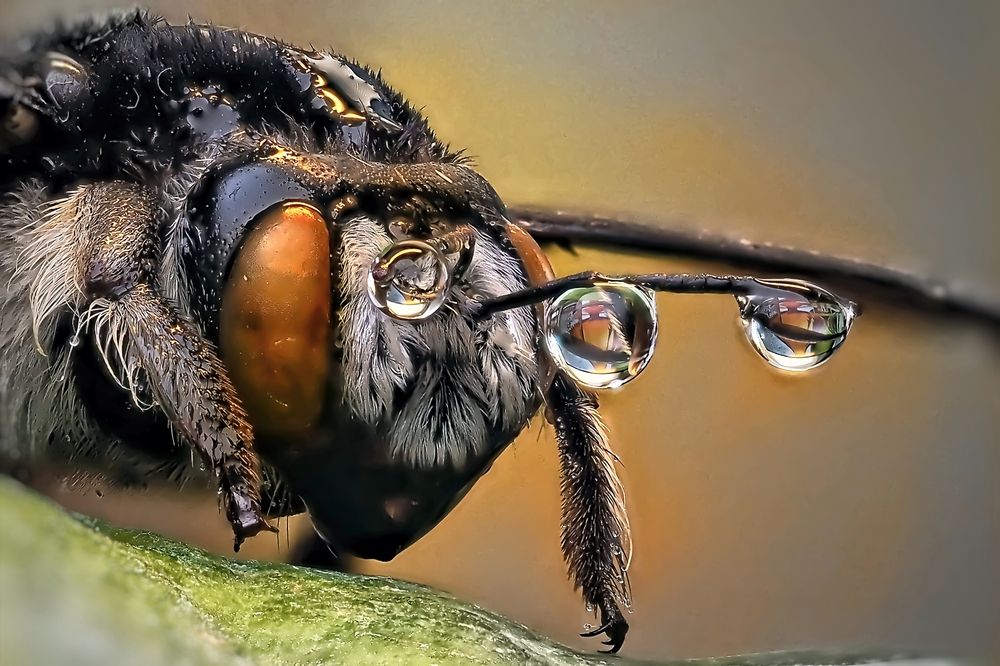 Photograph by Савчук Анатолий