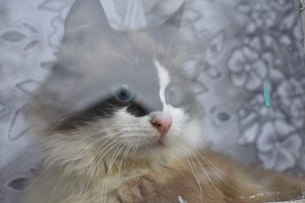 Photograph by Мария Бартош