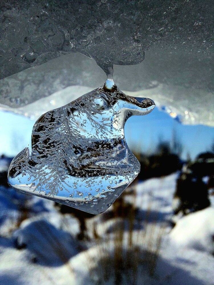 Photograph by Ирина