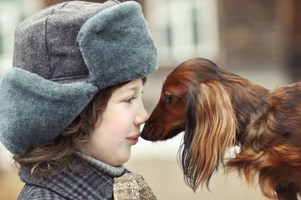 Photograph by Дарья Патук