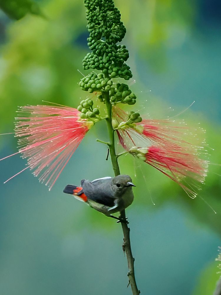 Photograph by Dzulfikri Dzulfikri