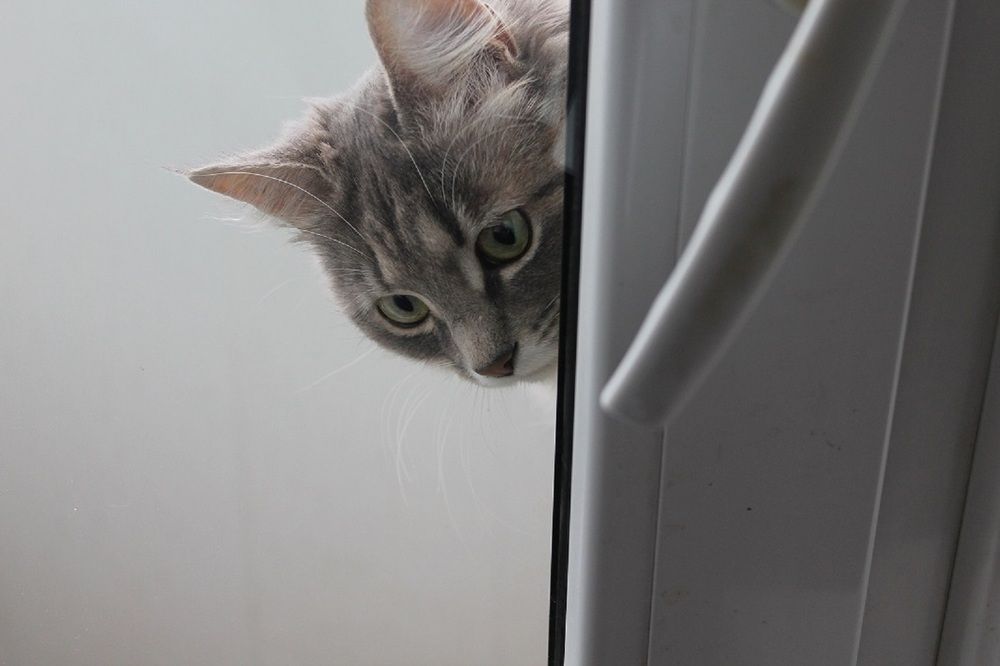 Photograph by Юрий Зильберборд