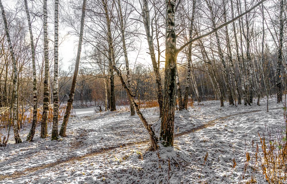 Photograph by Владимир Езеров