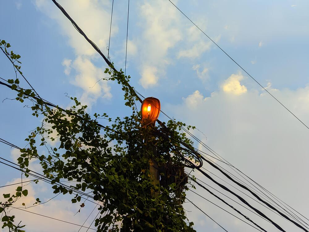 Photograph by Navya Modi