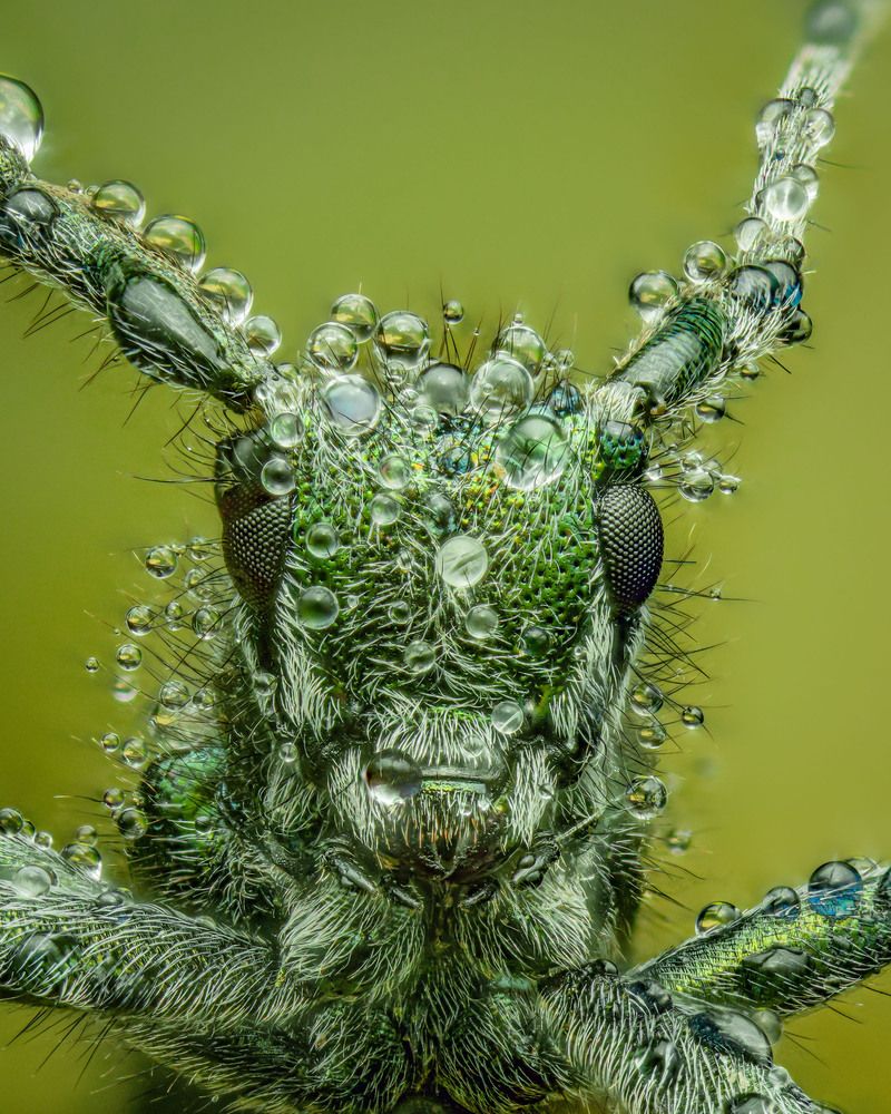 Photograph by Юрий Юрьевич Подгрушный