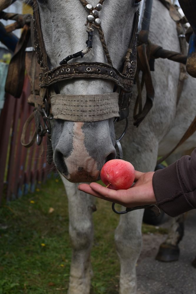Photograph by Мария Бартош