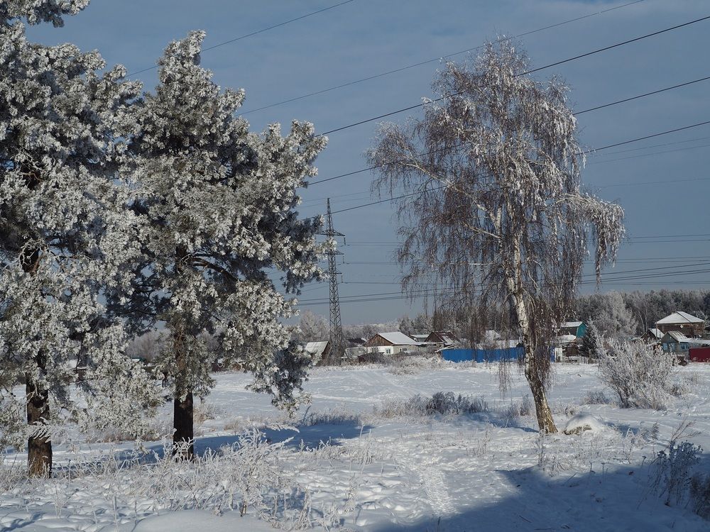 Photograph by МАрина Соловьева