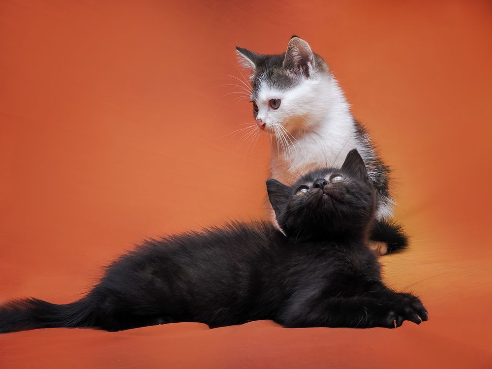 Photograph by Dzulfikri Dzulfikri