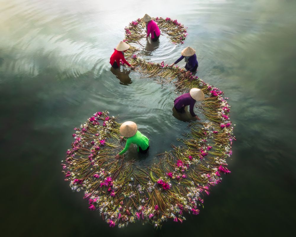 Photograph by Phuc Le