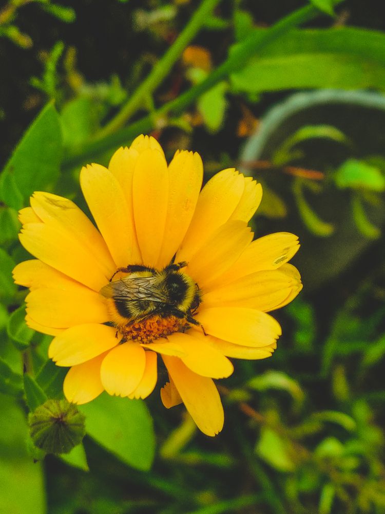 Photograph by Andreas Stroh