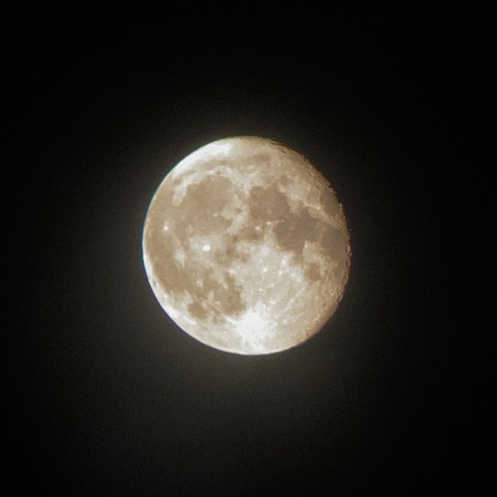 Photograph by Evlyn Jackson