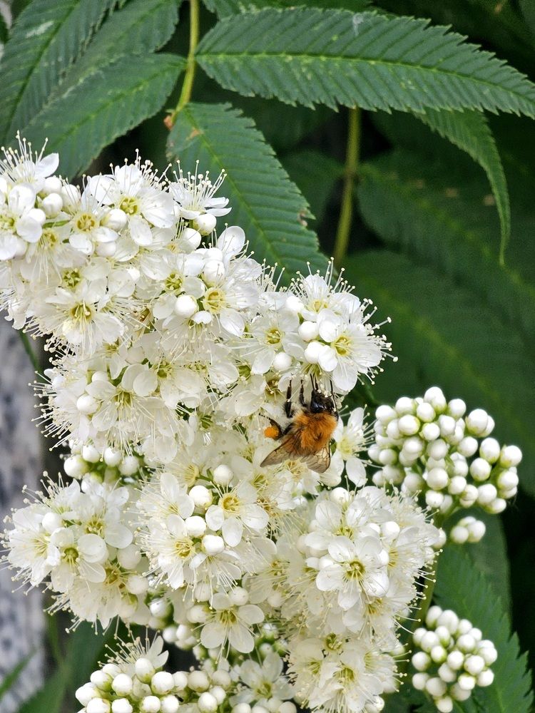 Photograph by Andreas Stroh