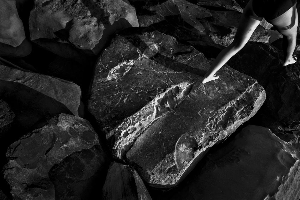 Photograph by Loptev Andrey