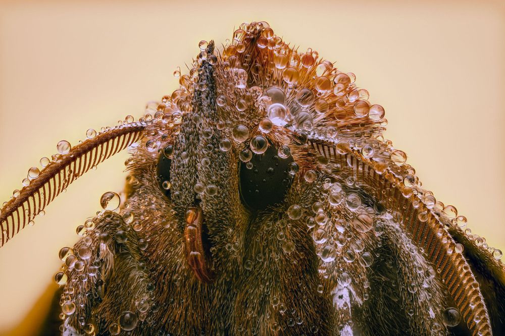 Photograph by Юрий Юрьевич Подгрушный