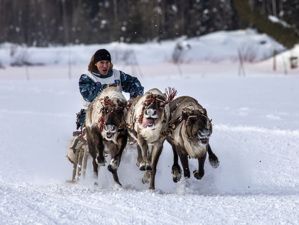Photograph by Татьяна Борисова
