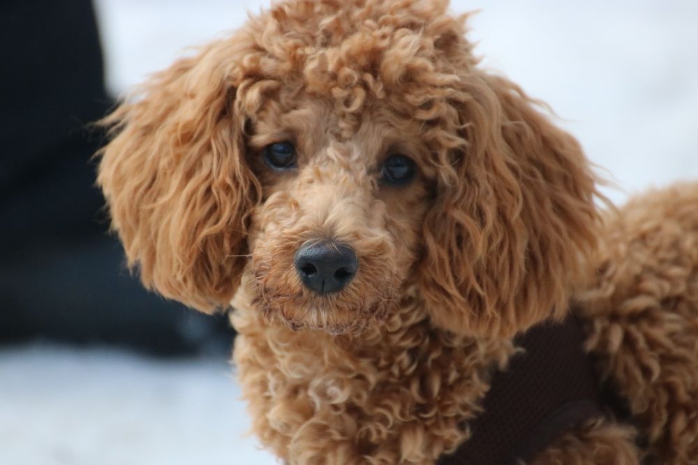 Photograph by Евгения Малафеева