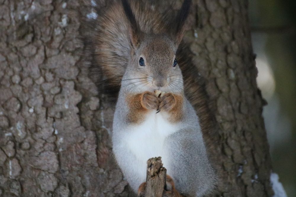 Photograph by Евгения Малафеева