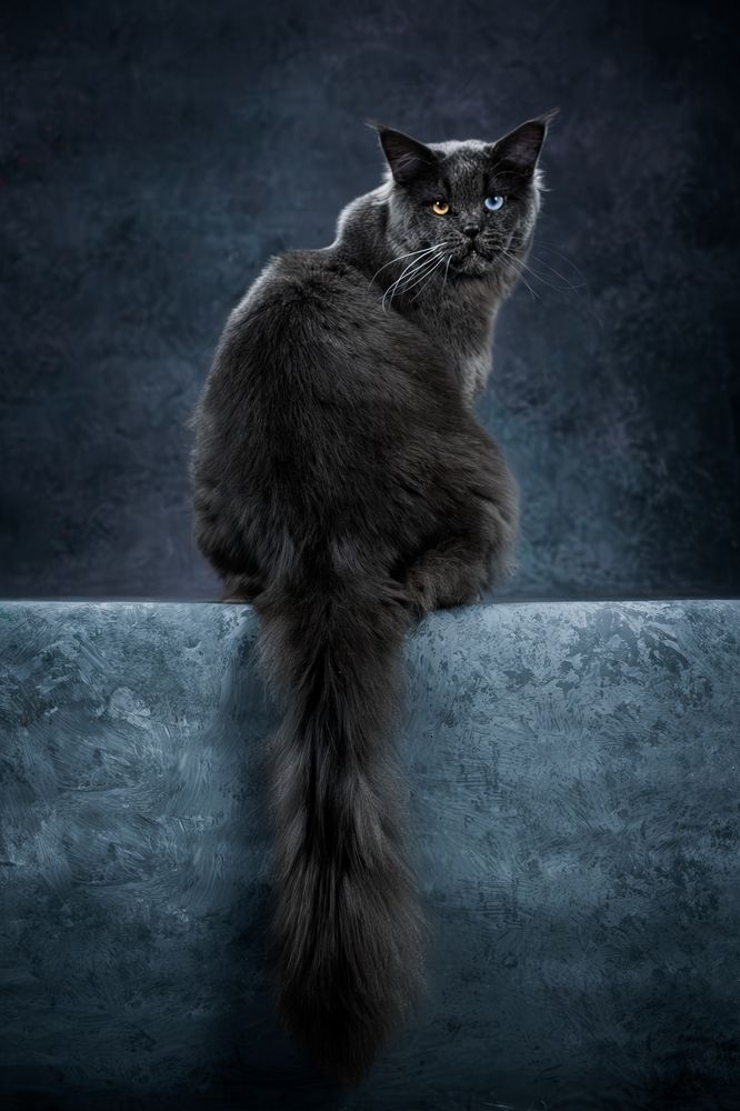 Photograph by Dina Damotseva