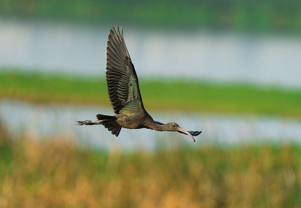 Photograph by Vaisak M S