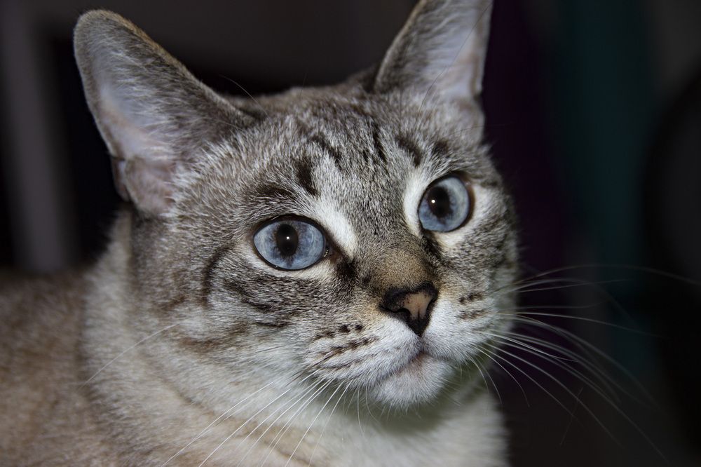 Photograph by Александр Парфенов