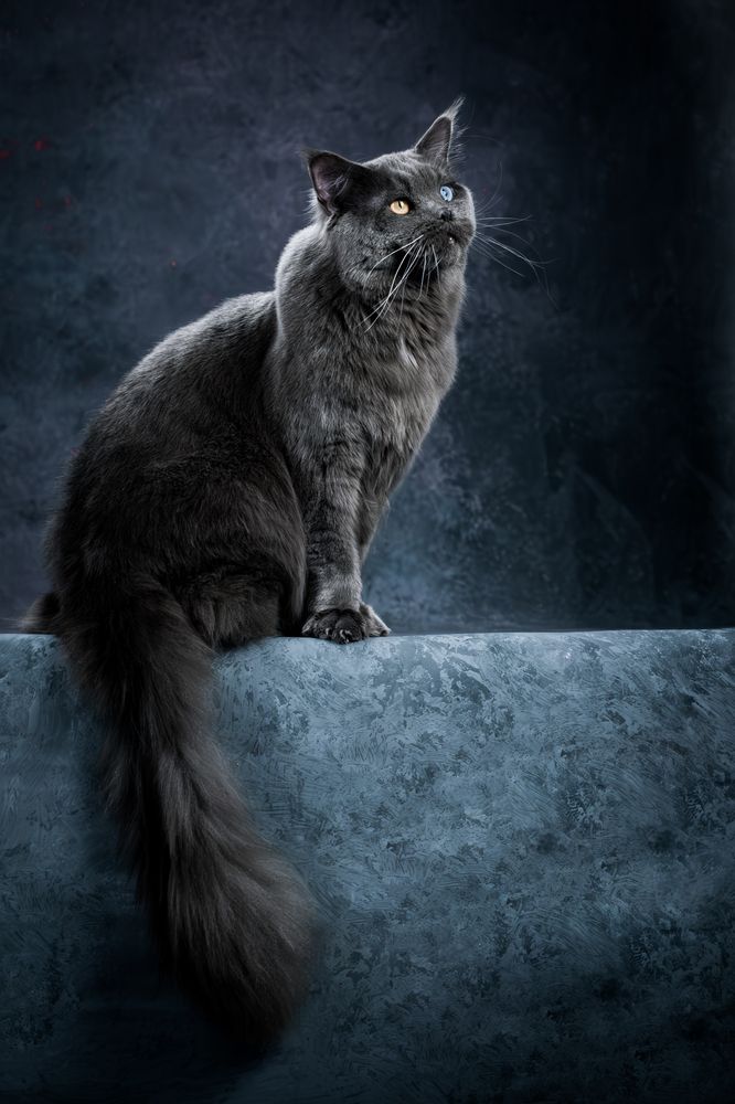 Photograph by Dina Damotseva