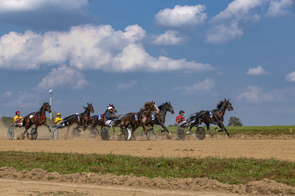 Рысистые бега