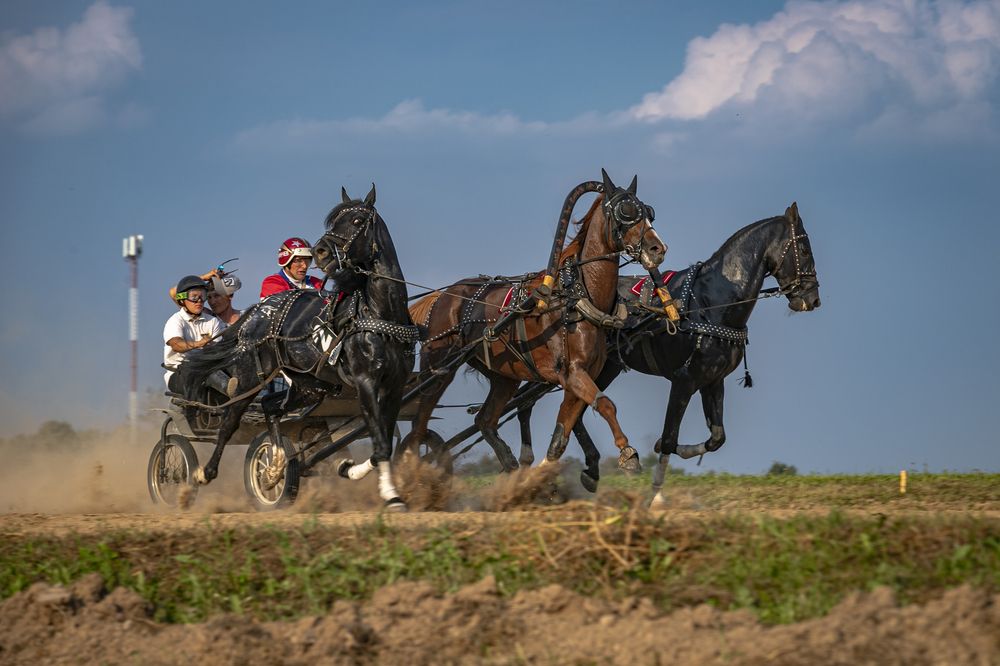 Photograph by Екатерина Лурина