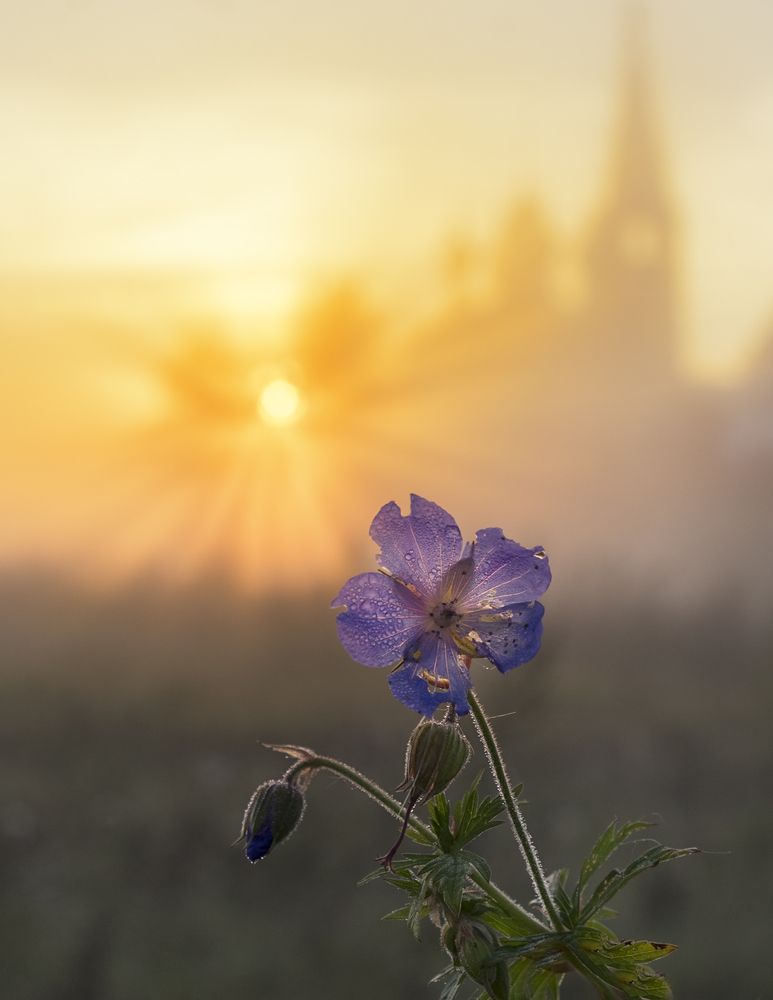 Photograph by Natalia Bolotenkova