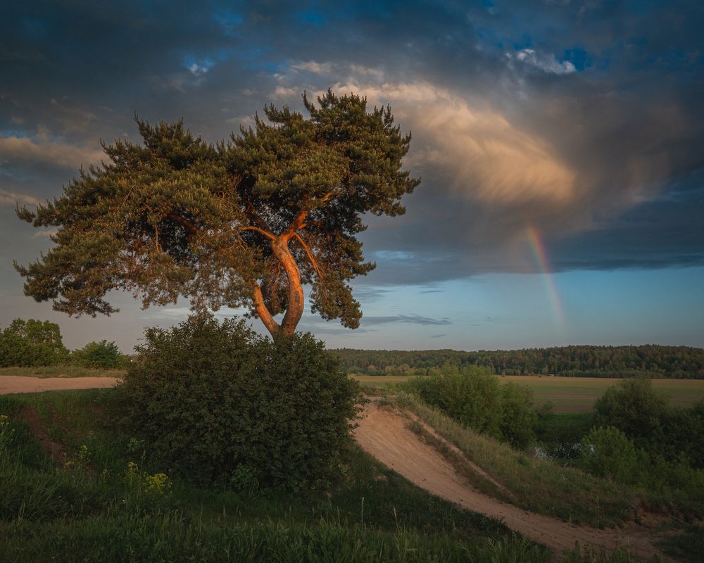 Фотография автора Дмитрий Вакульчик