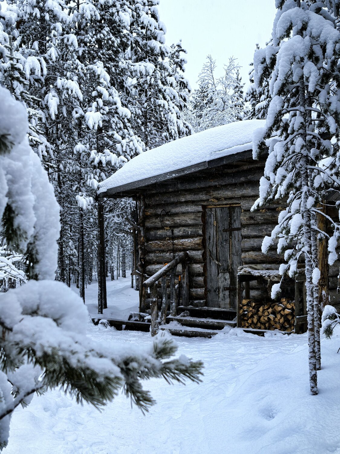 Photo #11985897