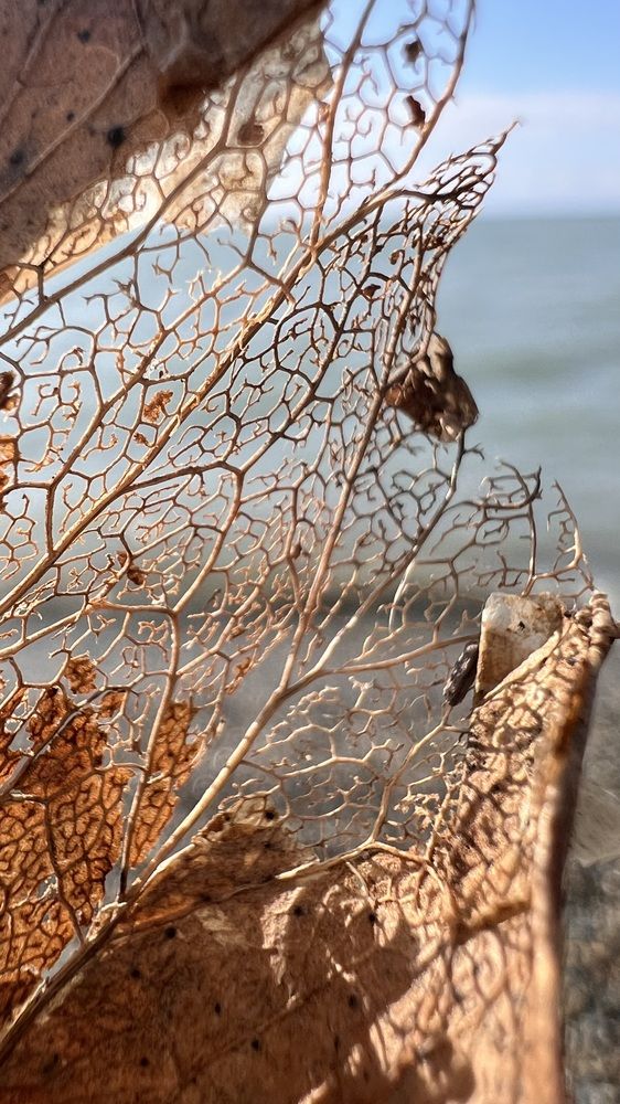 Photograph by Елена Мизина