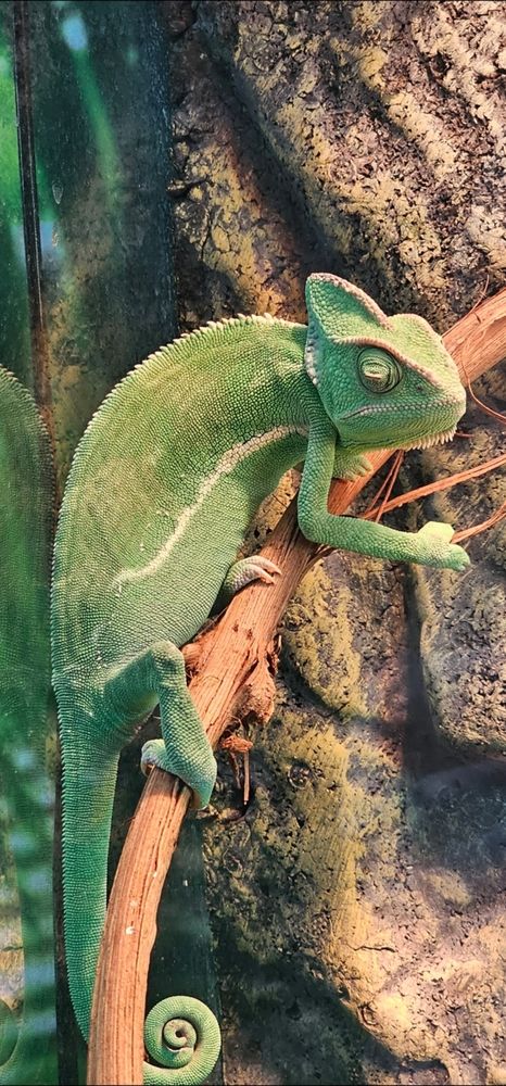 Photograph by Елизавета Лемешко