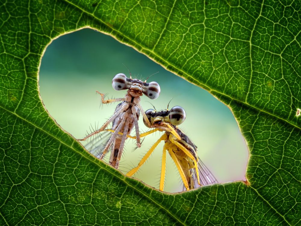 Photograph by Dzulfikri Dzulfikri