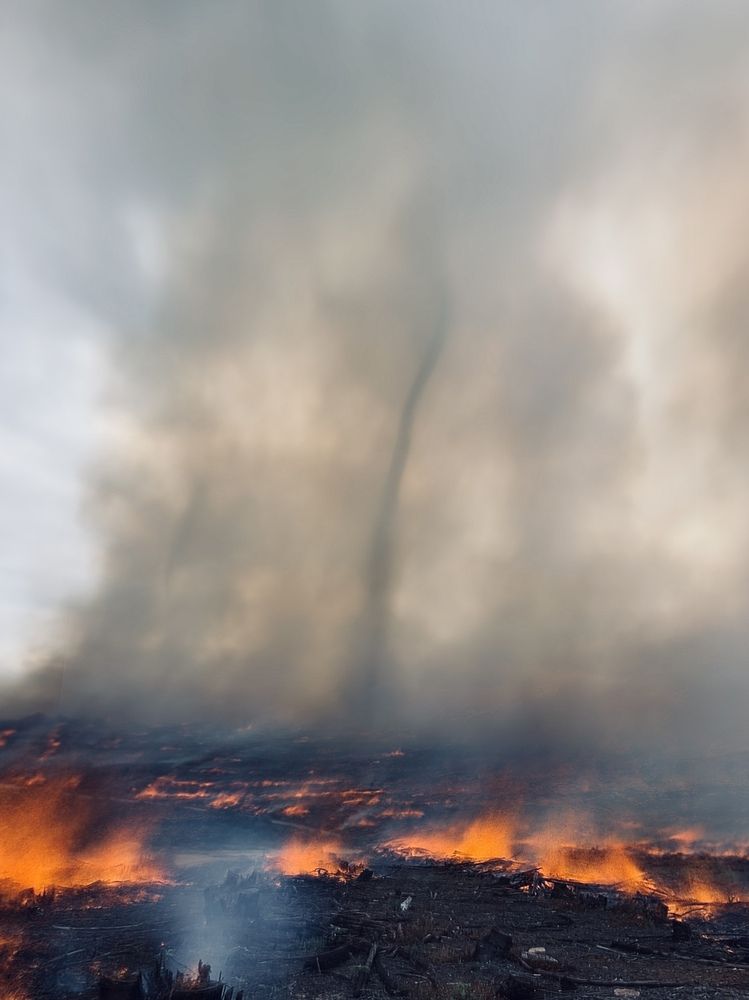 Photograph by Andrew Becker